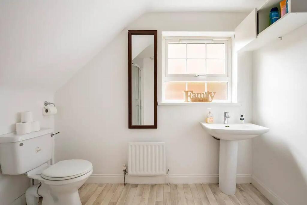 Lovely One Bedroom Flat. เบลฟาสต์ ภายนอก รูปภาพ